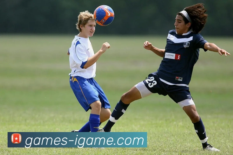 App Interface Preview